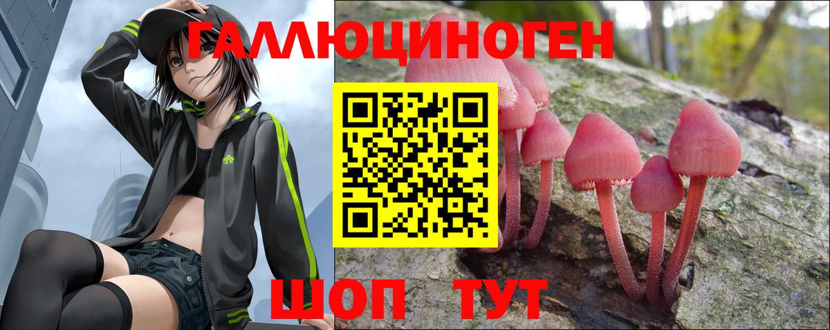 Псилоцибиновые грибы Psilocybe Зеленокумск